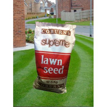 Grass Seed Image